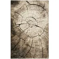 Wecon Home Teppich "Wild Oak" Gr. 6, braun, B:200cm H:13mm L:290cm, Kunstfaser, Teppiche, Teppich, Holz Optik, Wohnzimmer
