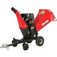 GeoTech Pro PCS 160 BSE PRO - Profi Häcksler Schredder - Motor B&S XR2100