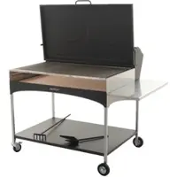 Famur BK 12 Elite - Holzkohle- und Holzkohlebrikett- Grill 2 in 1 - Gitter mit 8 mm-Drehgrillstäbe