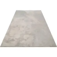 Wecon Home Teppich BASICS "Vanessa" Gr. 4, grau (mittelgrau), B:160cm H:20mm L:230cm, Kunstfaser, Teppiche, Teppich, besonders weich durch Mikrofaser, Wohnzimmer