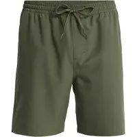 Quiksilver Badeshorts "Taxer Amph 18", Herren, Gr. S, US-Größen, grün (grape leaf), Polyester, Badehosen Badeshorts