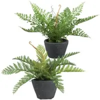 Creativ Green Kunstpflanze "Farn", grün, H:24cm, Kunststoff, Kunstpflanzen, Kunstpflanze, mit schönen Farnwedeln