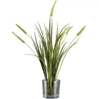 Creativ Green Kunstgras "Grasbusch Miscanthus im Erdballen mit Glas", grün, H:63cm, Obermaterial: 100% Polyethylen, Kunstpflanzen, Kunstgras