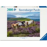 Ravensburger Wildpferde 2000p (12001751) Puzzle