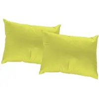 Wirth Dekokissen Gr. 2, grün (grün, unifarben), B:50cm L:50cm, Kunstfaser, Dekokissen_Sitzkissen_Kissenhüllen, Dekokissen, Kissenhülle ohne Füllung, 2 Stück