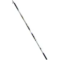 Fishing Ferrari Poseidon Bolognese Rute Mehrfarbig 6.00 m / 45 g Mehrfarbig 6.00 m