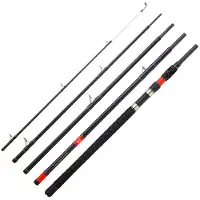 Daiwa Megaforce Big Fish Welsrute Silber 2.40 m / 80-180 g Silber 2.40 m