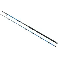 Wizard Cat Pro Power Welsrute Silber 3.00 m / 600-800 g Silber 3.00 m