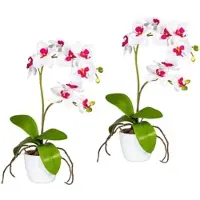 Creativ Green Kunstpflanze "Orchidee Phalaenopsis", rosa, H:60cm, Kunststoff, Polyester, Kunstpflanzen, Kunstpflanze, im Keramiktopf