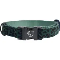 Kentucky Leopard Green Hundehalsband