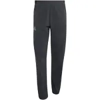 Adidas Herren Hose Terrex Xperior CLIMA365 Light