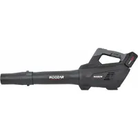 Hoozar Laubbläser 18V 1x5,0Ah LB15-T1