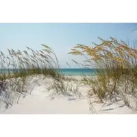 Papermoon Fototapete "Ocean Beach Dunes", bunt, B:3,5m L:2,6m, Vlies, Tapeten, Fototapete