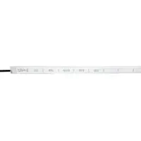 Brumberg BRU 19682103 LED-Neonband 24 V