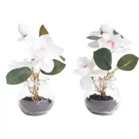 Botanic-Haus Kunstblume "Magnolie im Glas", beige (creme, weiß), B:14cm H:18cm T:14cm Ø:14cm, Kunststoff, Kunstpflanzen, Kunstblume