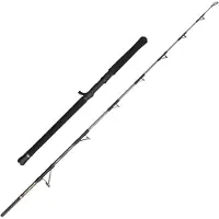 Penn Regiment IV Jig 6FT 30-50lb - Angelrute