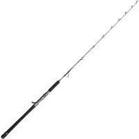 Penn Battalion Solid Boat Spiral Jig Baitcastrute Silber 1.75 m / 300 g Silber 1.75 m
