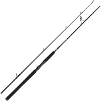 Penn Wrath Ii Spinnrute Silber 2.74 m / 20-60 g Silber 2.74 m