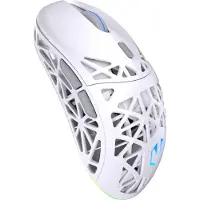 Endorfy LIV Plus - Maus - optisch - kabellos - Bluetooth, 2.4 GHz - kabelloser Empfänger (USB)