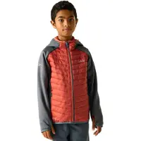 Regatta - Kid's Junior Andreson Hybrid - Hybridjacke Gr 6-7 Years rot