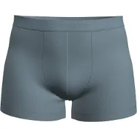 Icebreaker Men Merino Blend 125 Cool-lite Anatomica Boxers flint blue (0L2) M