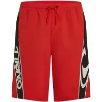 O'Neill 90's 21 Swim Shorts rot