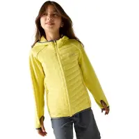 Regatta - Kid's Junior Andreson Hybrid - Hybridjacke Gr 13 Years gelb