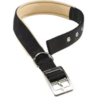Ferplast Daytona 25 Mm 37-45 Cm Hundehalsband