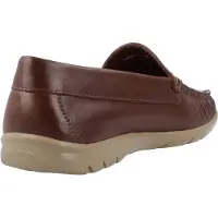 Callaghan 18001C Brown
