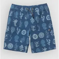 Salty Crew Crew Boys Volley cast blue (CSTB) M