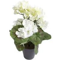 Botanic-Haus Kunstblume "Geranienbusch mit 6 Blütenköpfen", beige (creme, weiß), B:22cm H:30cm T:22cm Ø:22cm, Kunststoff, Kunstpflanzen, Kunstblume