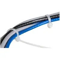StarTech.com Kabelbinder 55 Mm 100 Einheiten