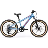 Bikestar Mountainbike Kinderfahrrad 20 Zoll - Blau
