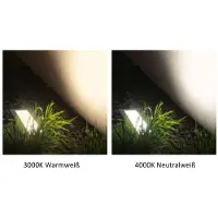 Bega 24432WK3 Deckenaufbau-Tiefstrahler, für den Innen- & Außenbereich, Weiß 3000 K