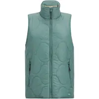 Regatta - "Carlotte" Weste für Damen RG12620 (36 DE) (Moos)