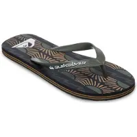 Quiksilver Molokai Art 26 Flip-flops
