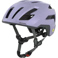 Alpina Herren Helm TAUNUS GRAVEL MIPS