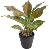 Botanic-Haus Künstliche Zimmerpflanze "Caladium", bunt (grün, hellgrün, rotbraun), B:24cm H:25cm T:24cm Ø:24cm, Kunststoff, Kunstpflanzen, Künstliche Zimmerpflanze
