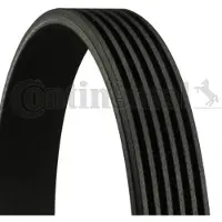 CONTITECH Keilrippenriemen 6pk2125 für DAIMLER MERCEDES-BENZ KIA