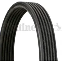 CONTITECH Keilrippenriemen 6dpk1195 für FORD VW (SVW)