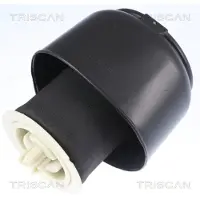 TRISCAN Luftfeder, Fahrwerk 872011201 für BMW