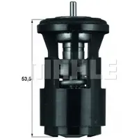 MAHLE ORIGINAL Thermostat, Kühlmittel TX 41 87D für CUPRA LAND ROVER