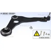 TRISCAN Lenker, Radaufhängung 850025591 für RENAULT