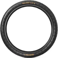 Continental Reifen Magnotal 29x2,60 (65-622) Trail Grip TR E25 – Faltreifen schwarz 0150768