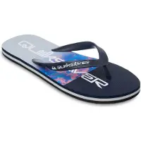 Quiksilver Sandale "Molokai Stripe"