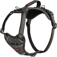 Halti Anatomy Dog Hundegeschirr