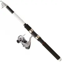 Daiwa Sweepfire Tele+q830fm Spinn-kombo