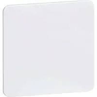PEHA by Honeywell Peha Zentralplatte D 80.677.02