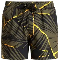 Quiksilver Everyday Printed Volley 15"