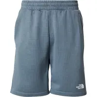 The North Face Reaxion 2.0 Kurze Hose